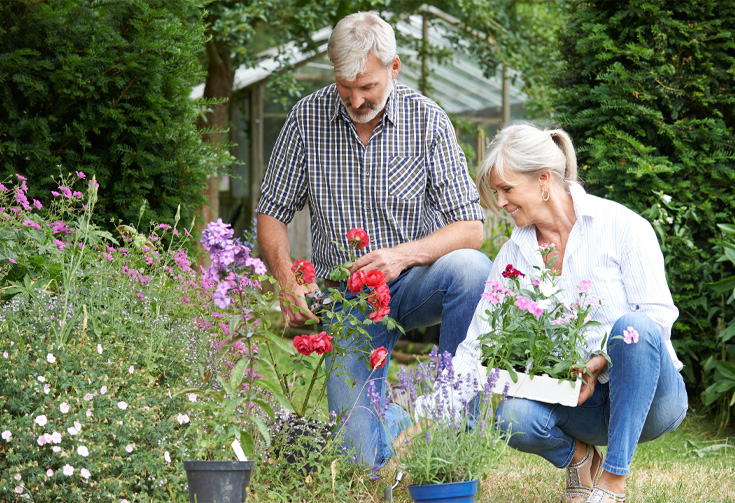 Photo: gardening couple